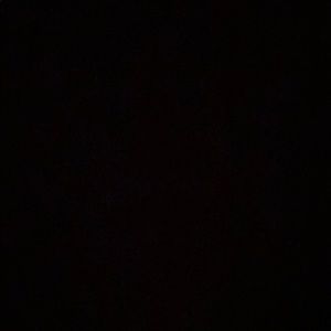 Meet your Posher, Zoey